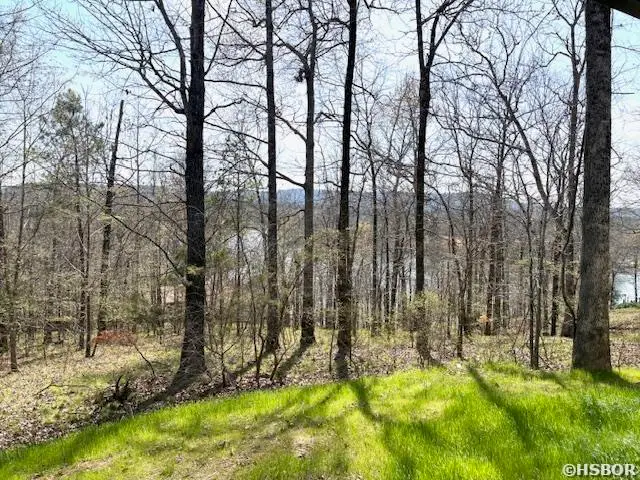 LOTS 2424/2425 Murray Hill Drive, Hot Springs, AR 71913 - #2