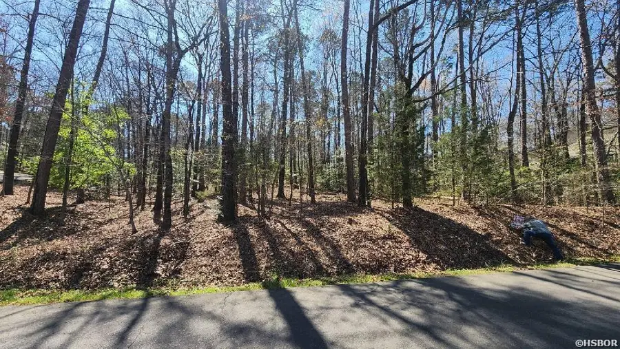 000 Zarpa Way, Hot Springs Village, AR 71909 - #2