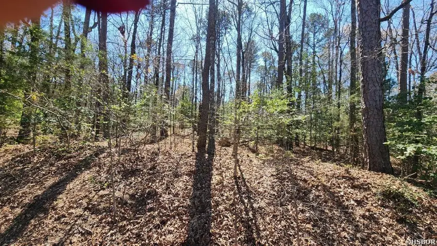 000 Zarpa Way, Hot Springs Village, AR 71909 - #3