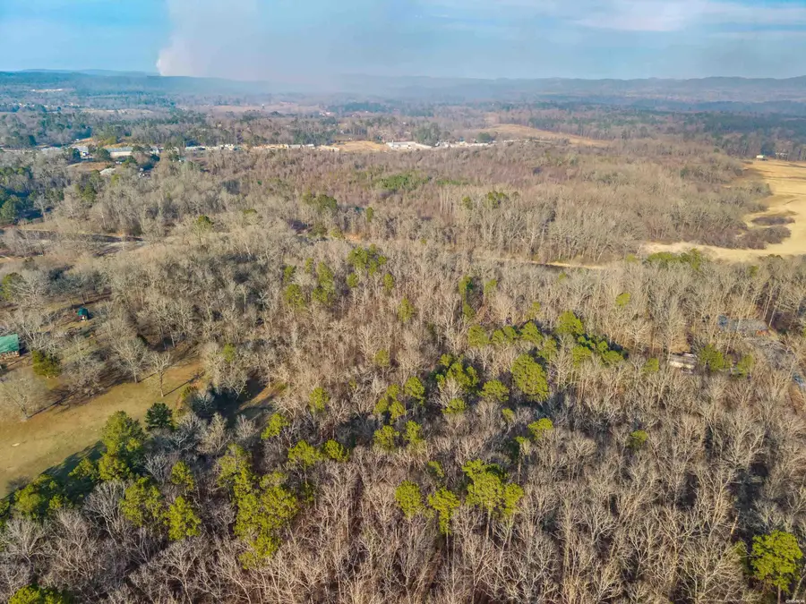 xx Woodriver Lane, Royal, AR 71968 - #2