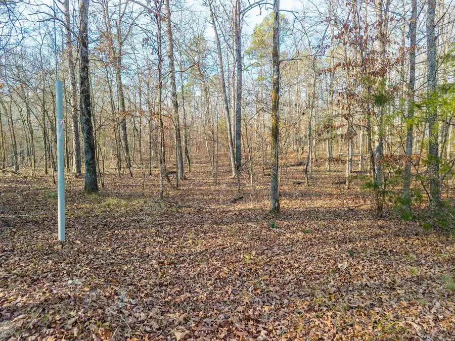 xx Woodriver Lane, Royal, AR 71968 - #3