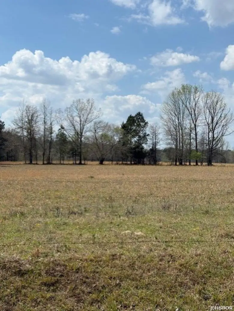 TBD George Road, Arkadelphia, AR 71923 - #3