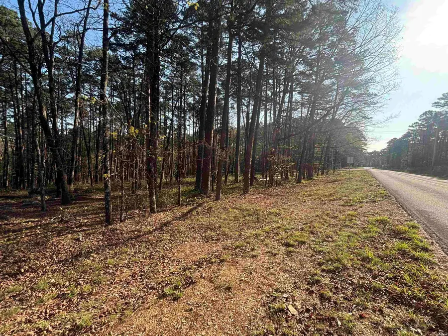 160 Mazarron Drive, Hot Springs Village, AR 71909 - #2