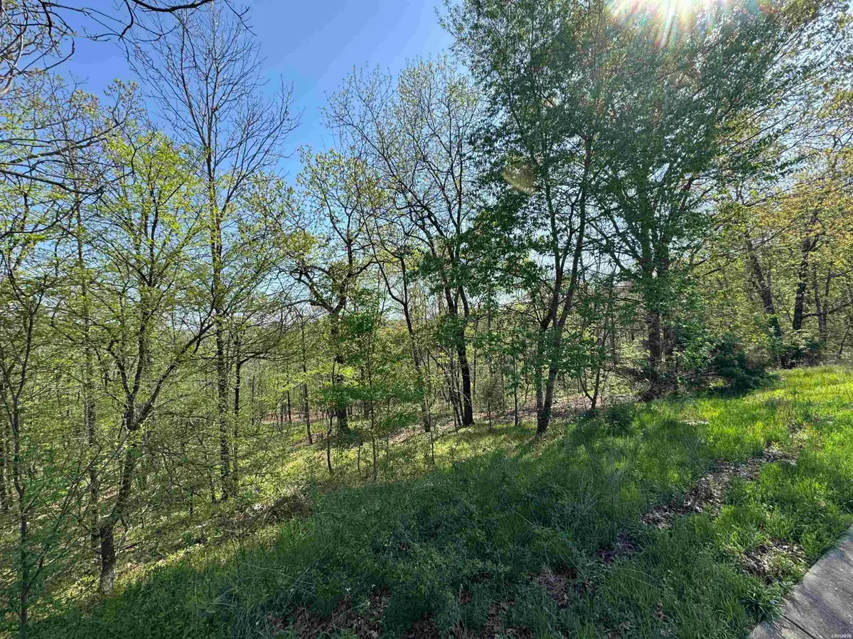 xxx Covey Rise Trail, Hot Springs, AR 71901 - #1