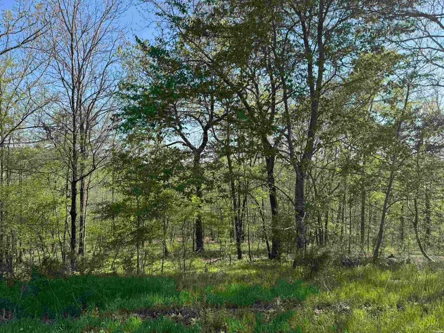 xxx Covey Rise Trail, Hot Springs, AR 71901 - #2