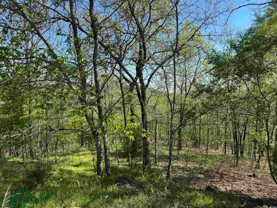 xxx Covey Rise Trail, Hot Springs, AR 71901 - #3