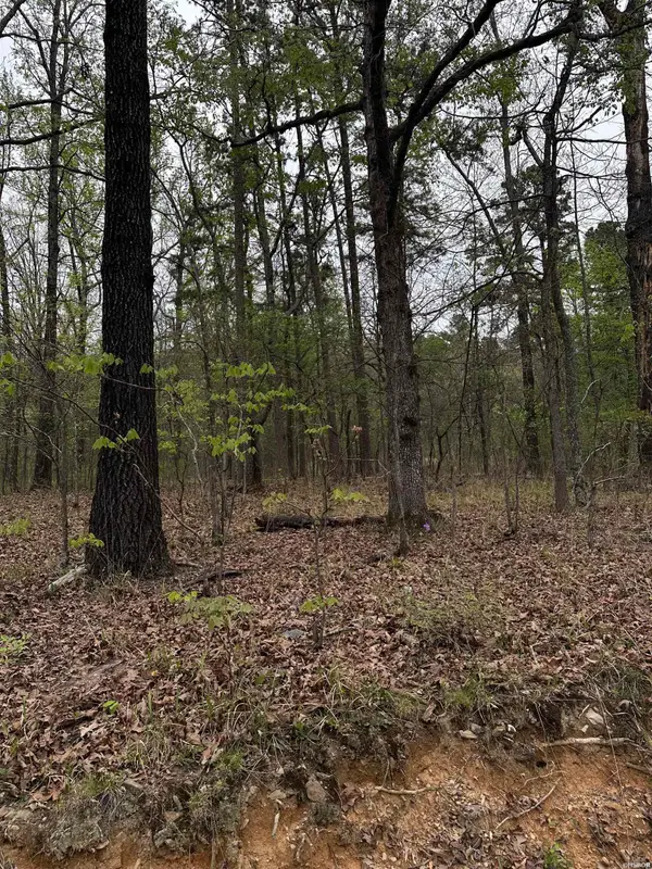 0 Julian, Hot Springs, AR 71913