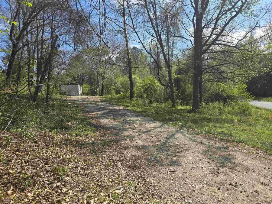 367 Wandering Way, Mountain Pine, AR 71956 - #3