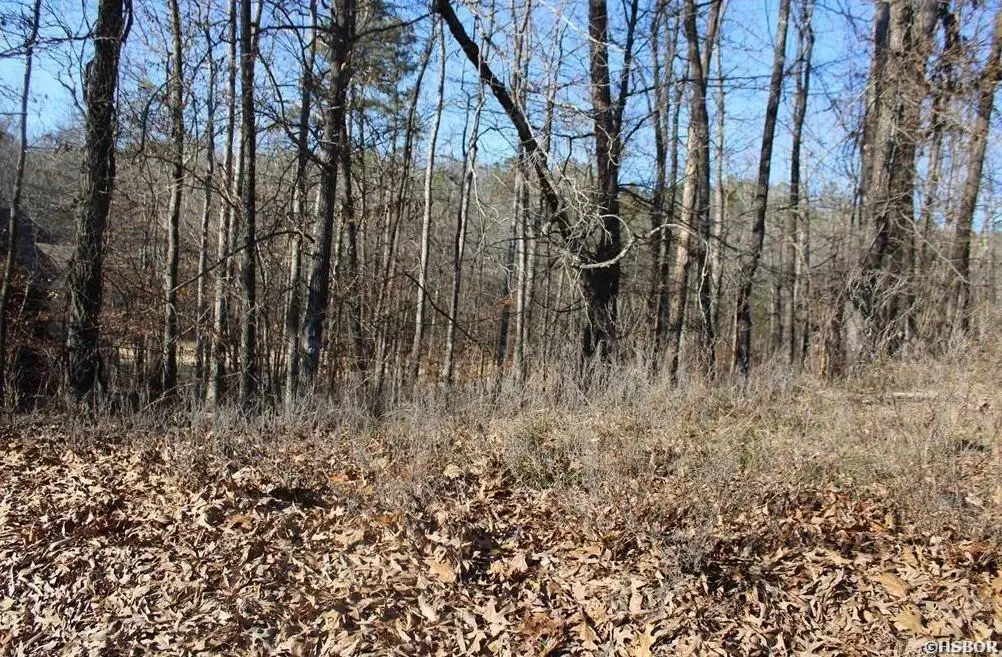 1672 Westchester, Hot Springs, AR 71913 - #1