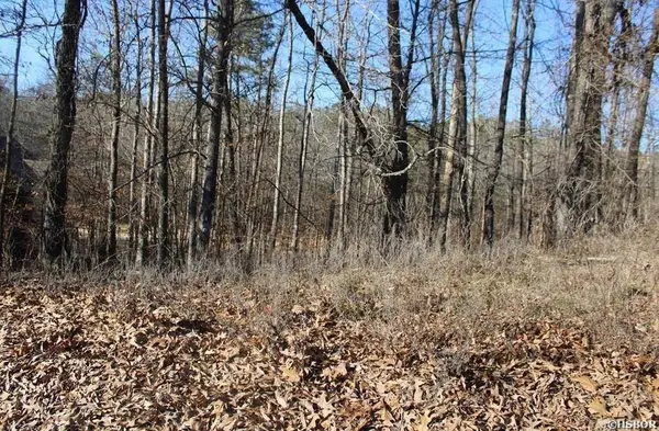 1672 Westchester, Hot Springs, AR 71913