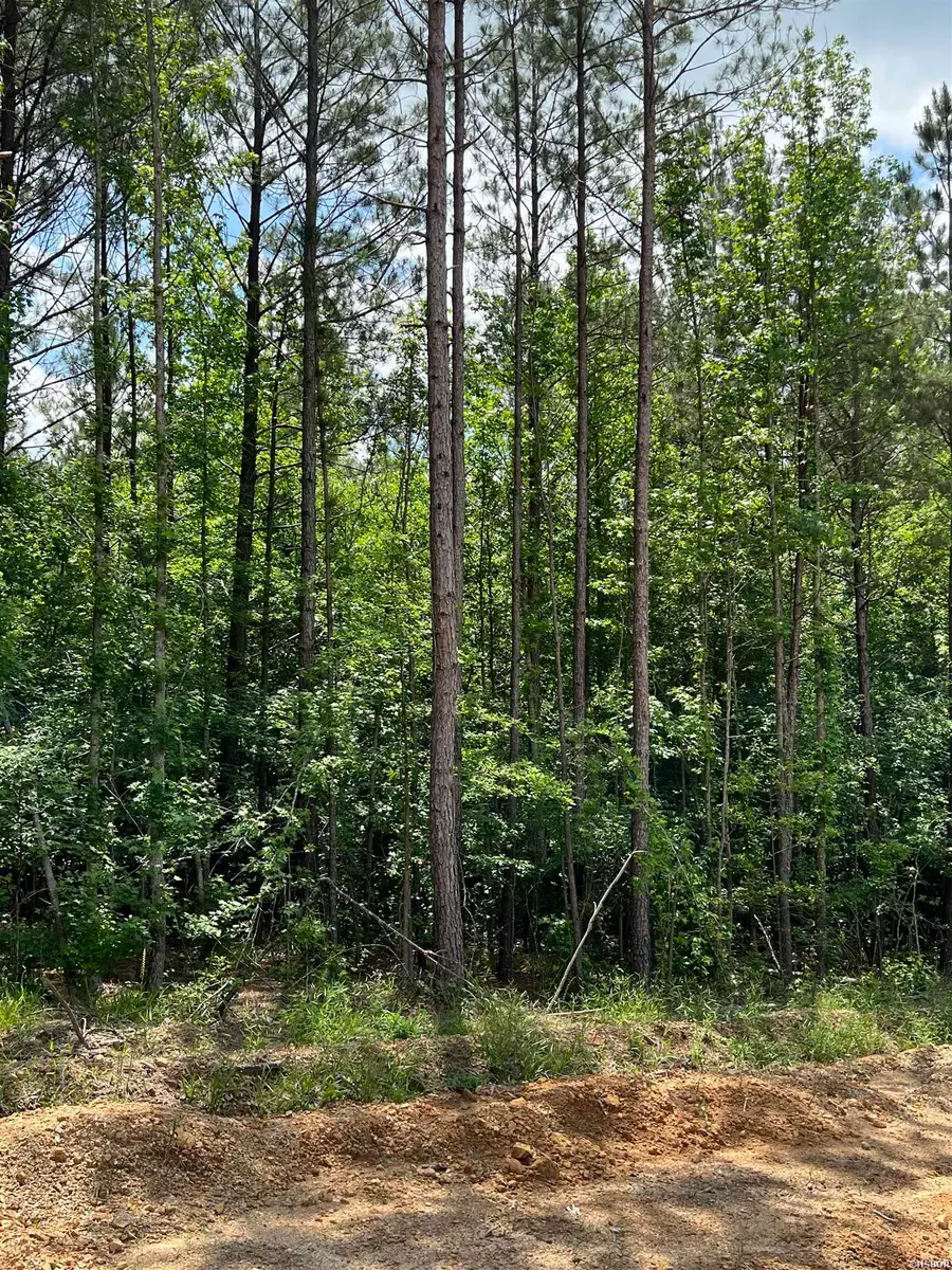 Tract#11 Glenwood, Glenwood, AR 71943 - #2