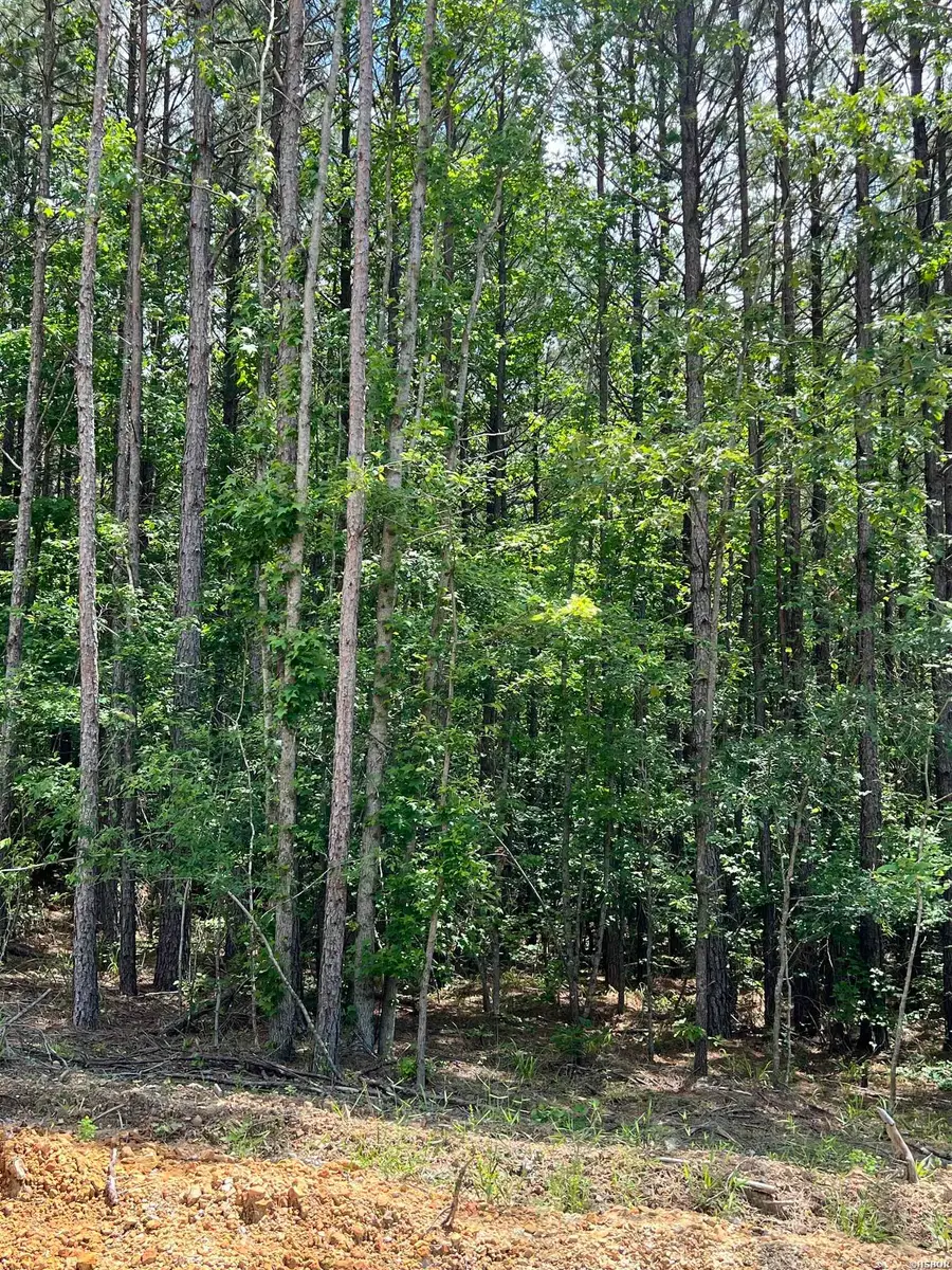 Tract#11 Glenwood, Glenwood, AR 71943 - #3
