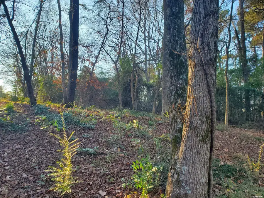 Lot 129 N 26th Street, Arkadelphia, AR 71923 - #3