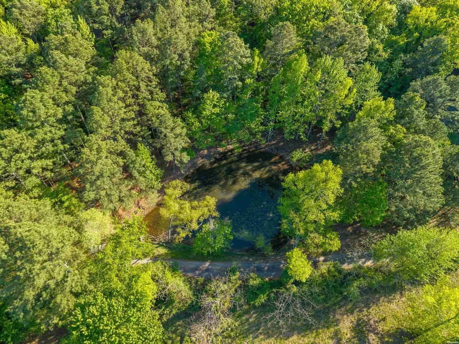 356 Trap Mountain Road, Hot Springs, AR 71913 - #3