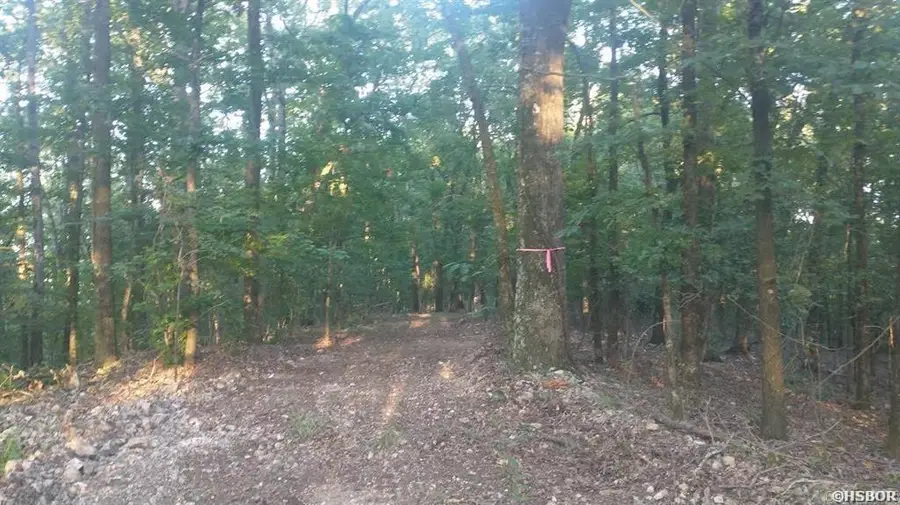 Lot Q Hwy 8 E #Burnham Mountain Estates, Glenwood, AR 71943 - #3