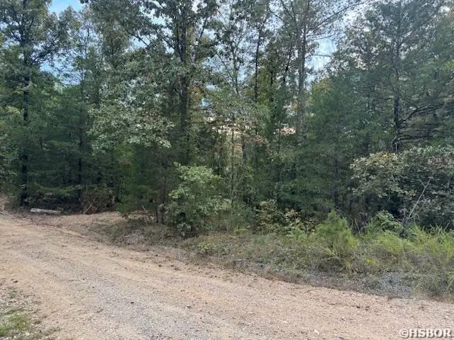 000 Perkins, Bonnerdale, AR 71933 - #1