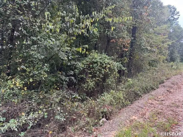 000 Perkins, Bonnerdale, AR 71933 - #2