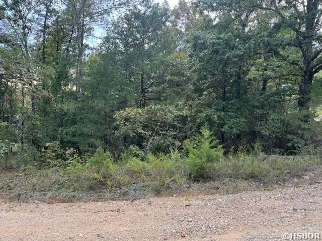 000 Perkins, Bonnerdale, AR 71933 - #3