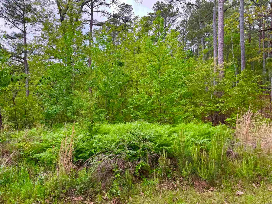 vacant land Doubloon Circle, Hot Springs, AR 71913 - #2