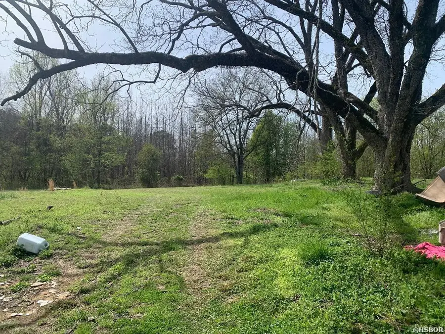 519 N Main Street, Amity, AR 71921 - #2