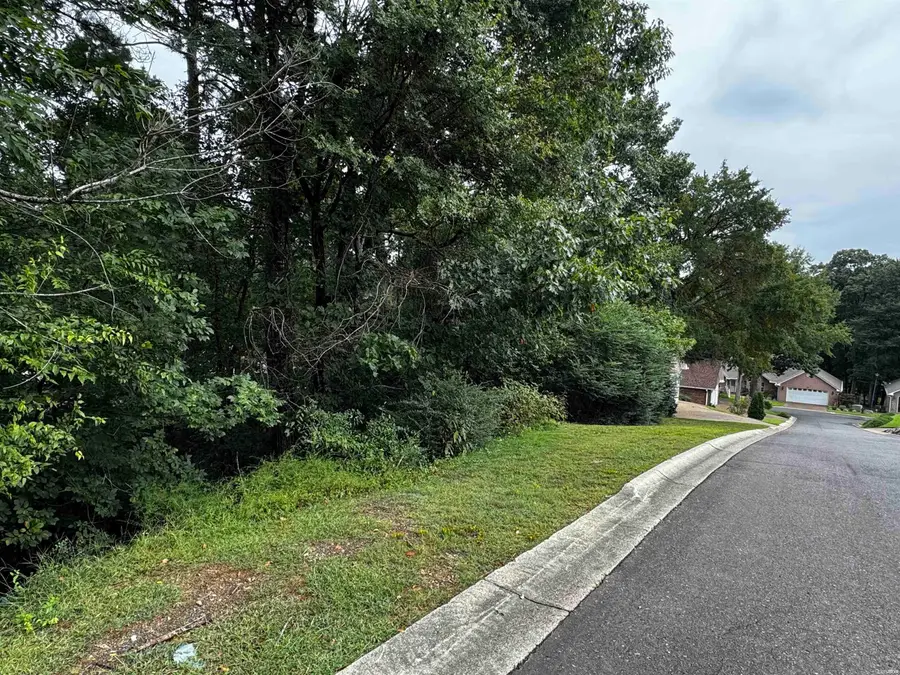Lot 28 Forest View Circle #Lot 28, Hot Springs, AR 71913 - #2