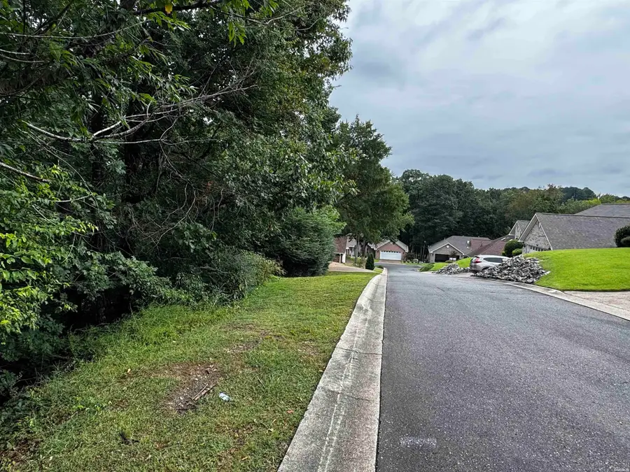 Lot 28 Forest View Circle #Lot 28, Hot Springs, AR 71913 - #3