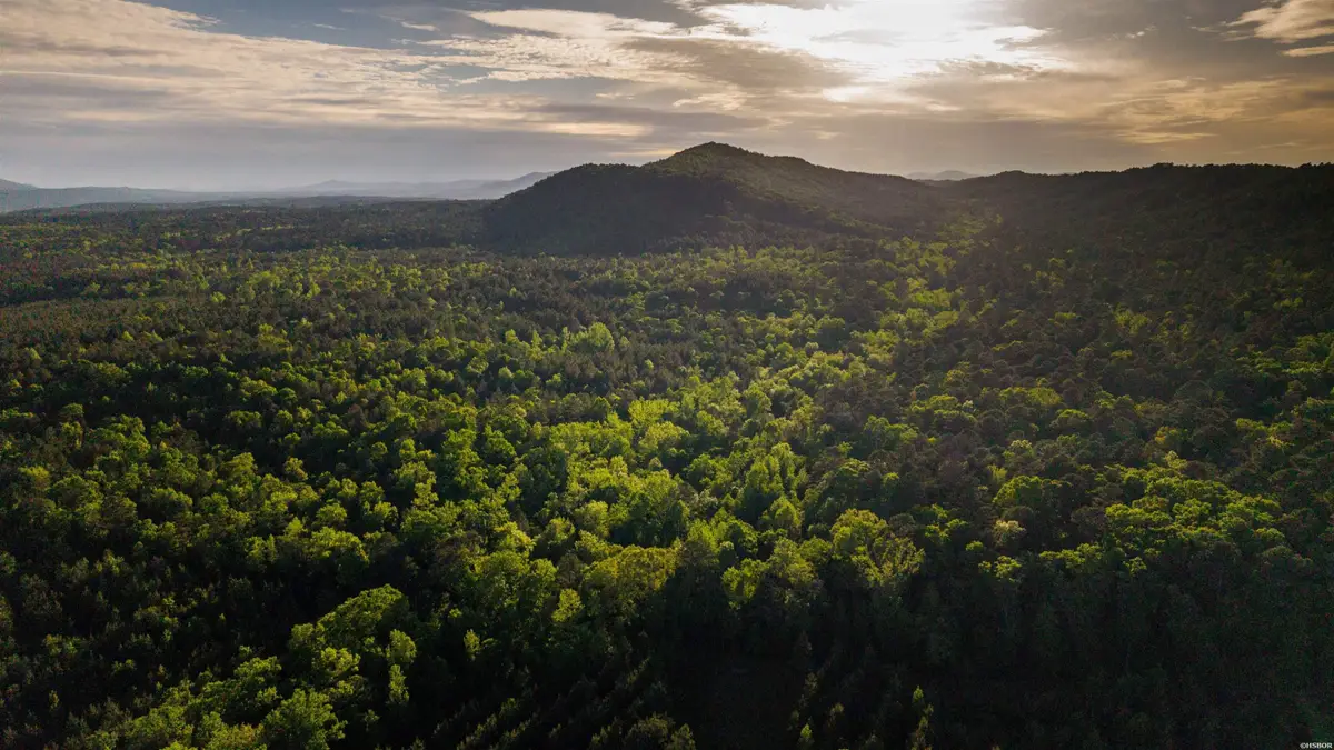 XXX Kinsey Mountain Road, Bonnerdale, AR 71933 - #1