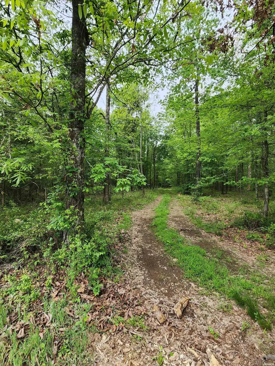 XXX Kinsey Mountain Road, Bonnerdale, AR 71933 - #2