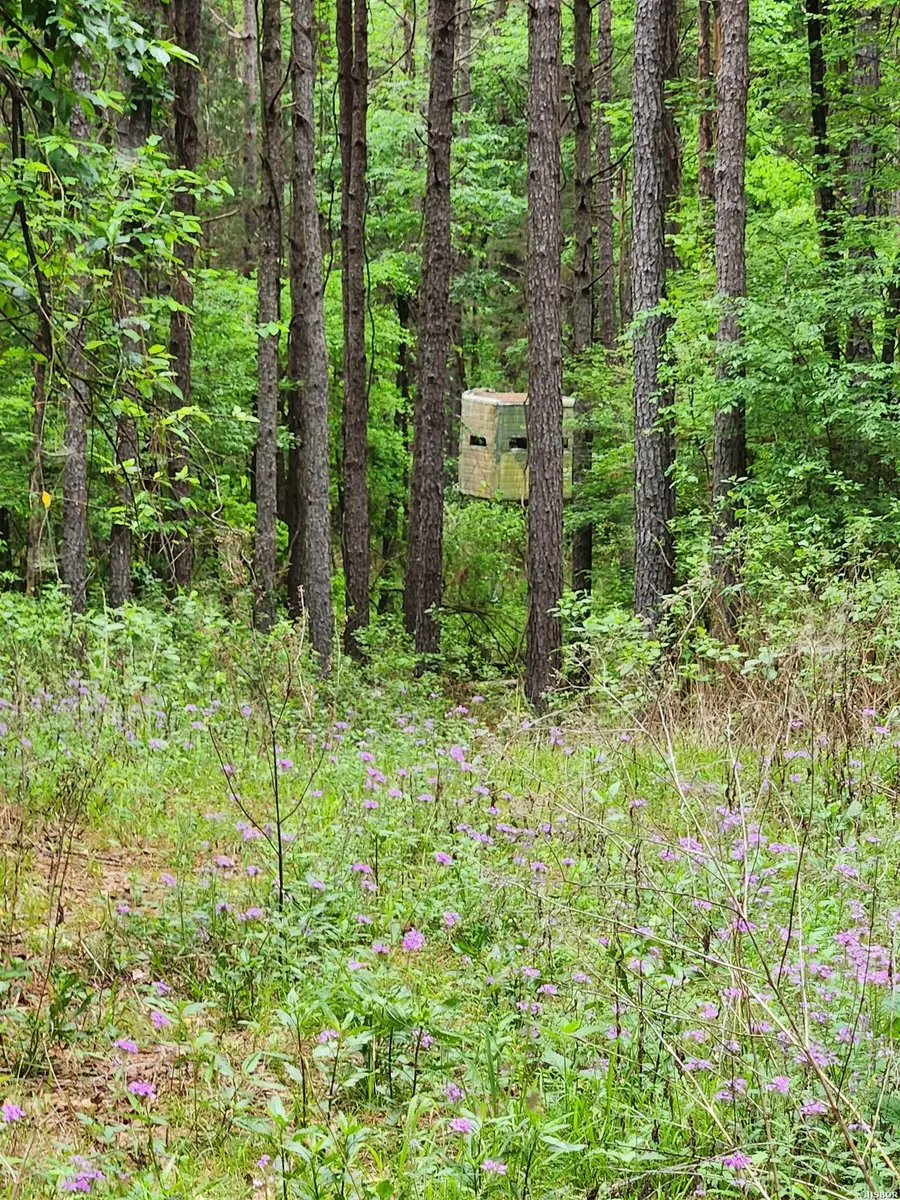 XXX Kinsey Mountain Road, Bonnerdale, AR 71933 - #3