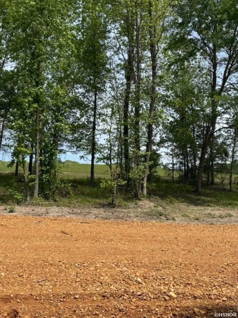 TBD Maddox Court #Tract 7A, Arkadelphia, AR 71923 - #2