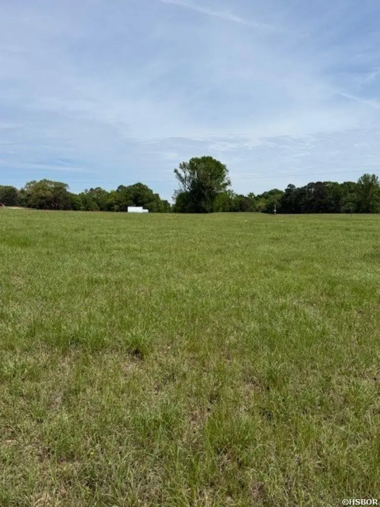 TBD Maddox Court #Tract 6, Arkadelphia, AR 71923 - #3
