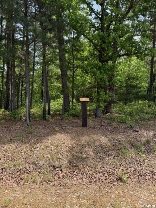 TBD Maddox Court #Tract 1, Arkadelphia, AR 71923