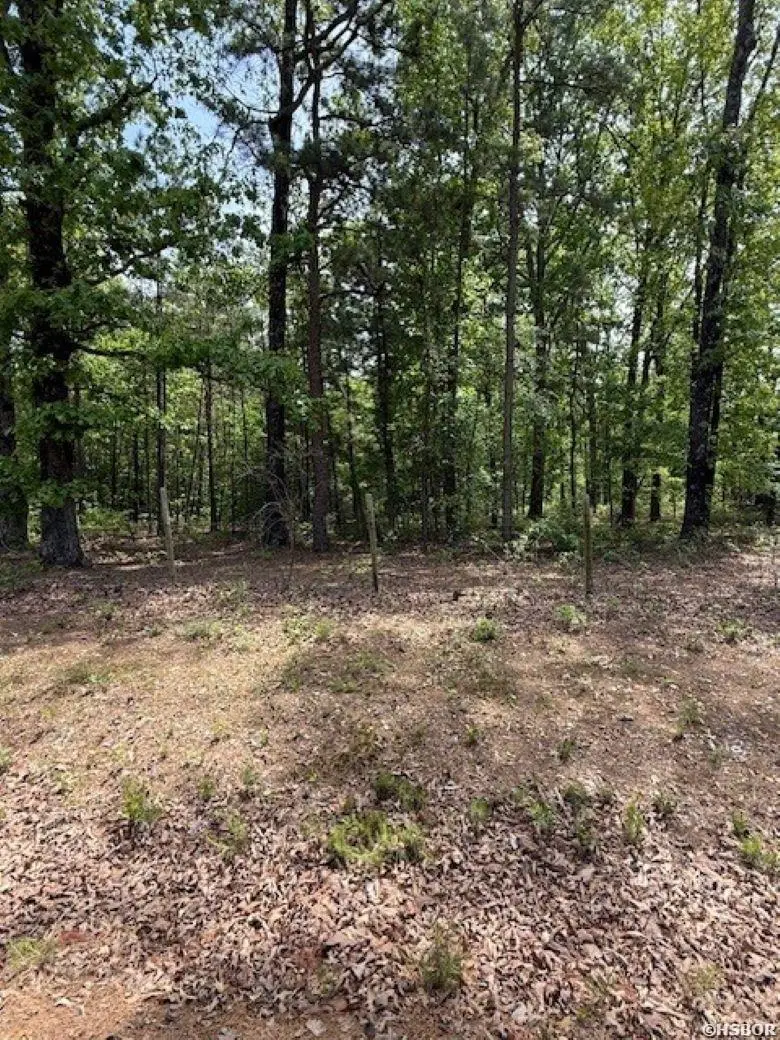 TBD Maddox Court #Tract 3, Arkadelphia, AR 71923 - #2
