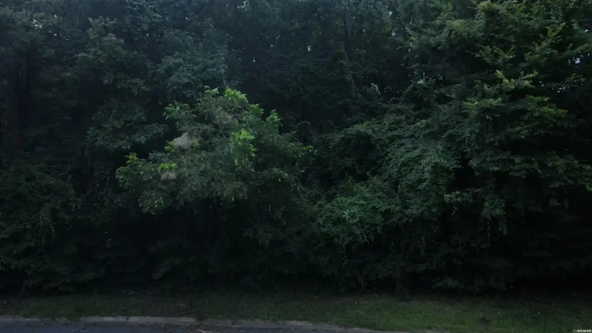 TBD North Park Drive, Arkadelphia, AR 71923 - #1