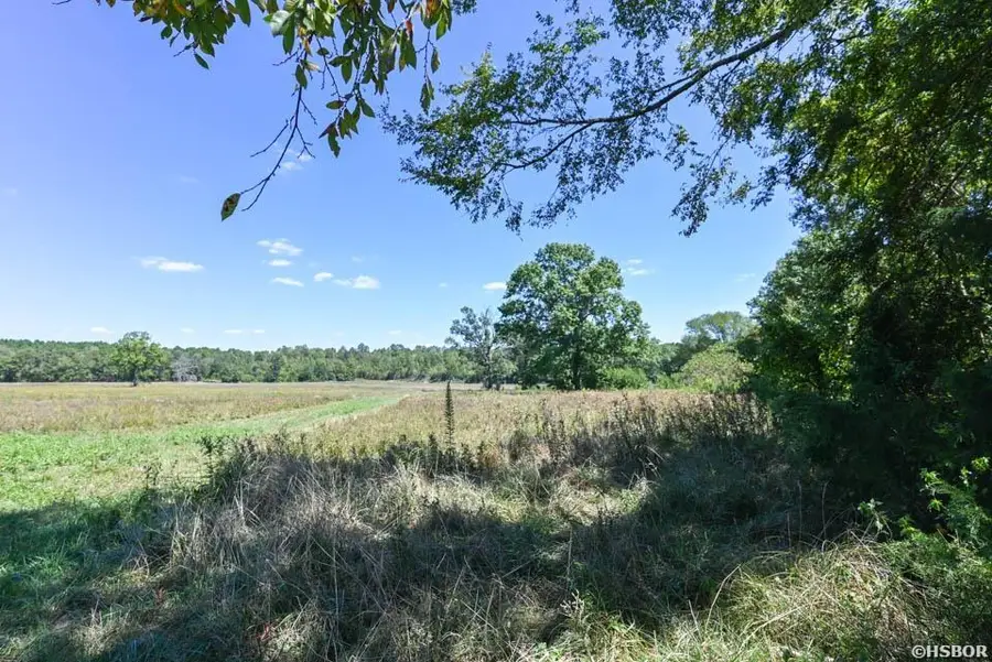 TBD Stoney Point Road, Oden, AR 71961 - #3