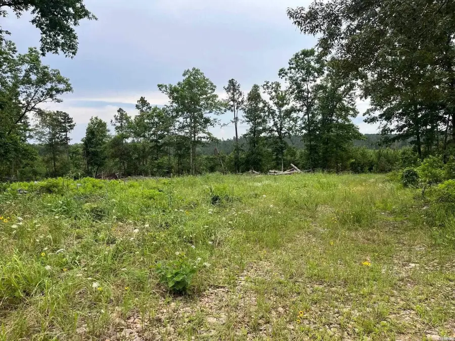 TBD Hwy 84, Amity, AR 71921 - #3