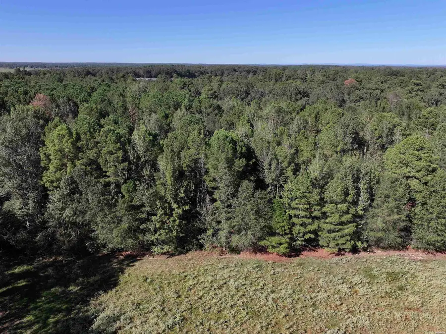 XXX Central Road, Horatio, AR 71842 - #3