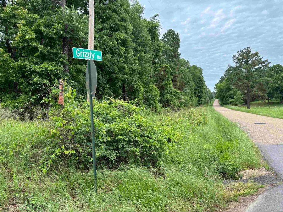 1400   TBD Old Bear Road, Royal, AR 71968 - #2