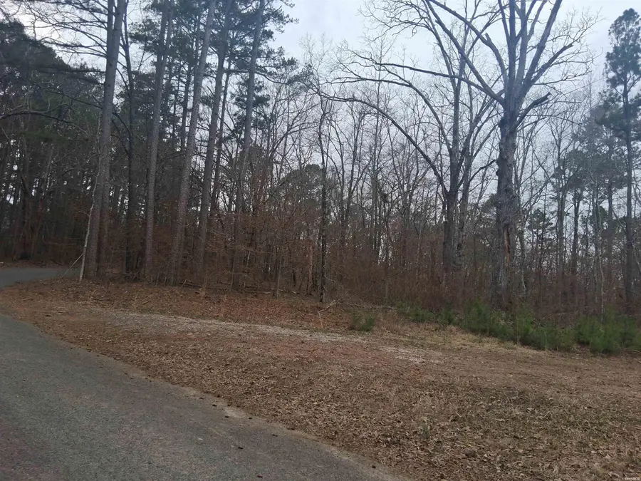 Xxx Woodland Shores, Royal, AR 71968 - #3