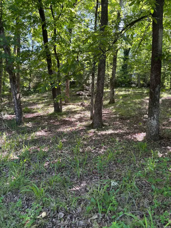 TBD N Crystal Springs Road, Royal, AR 71968