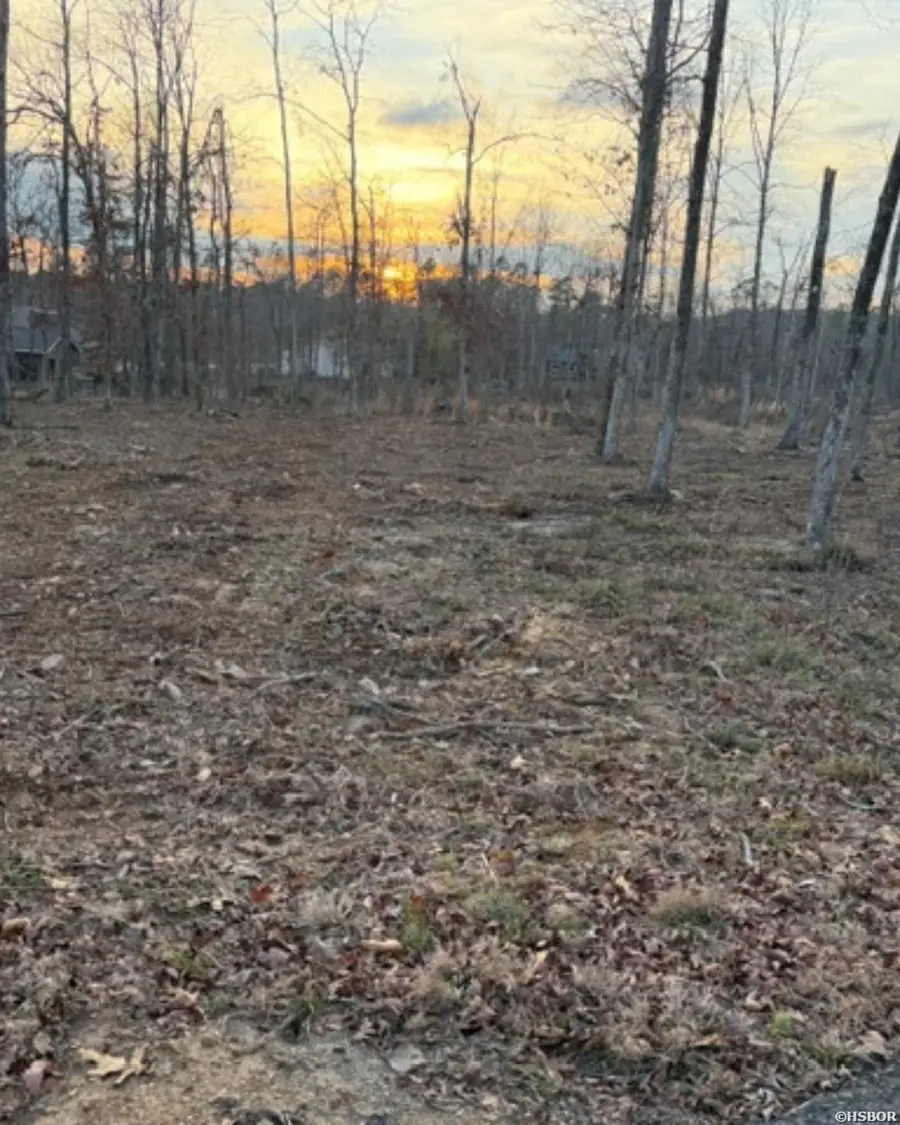 0 Burgos Lane, Hot Springs Village, AR 71909 - #3