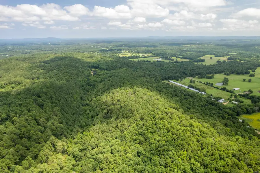 Ragweed Valley Road, Royal, AR 71968 - #3