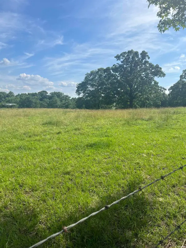 Tract #2 Mountain View, Glenwood, AR 71943