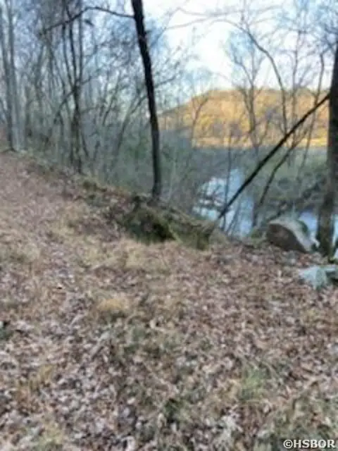 5 Devaca Circle, Hot Springs Village, AR 71909 - #3
