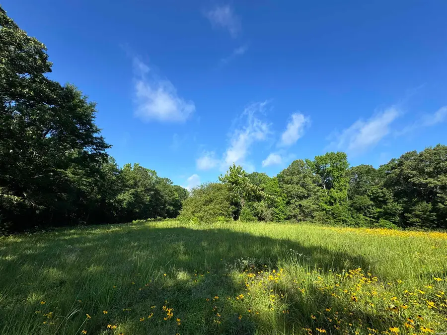 2.25 Acres Cuffman Mill Road, Malvern, AR 72104 - #2