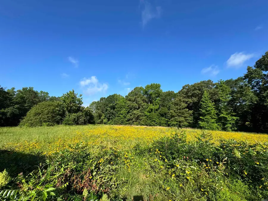 2.25 Acres Cuffman Mill Road, Malvern, AR 72104 - #3