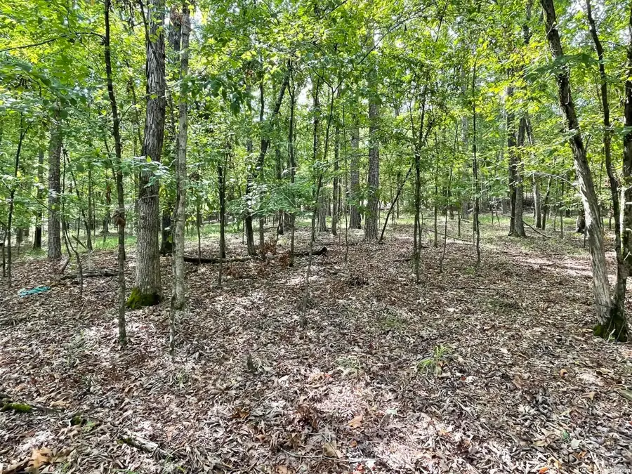 000 Spring Branch Drive, Haskell, AR 72015 - #2