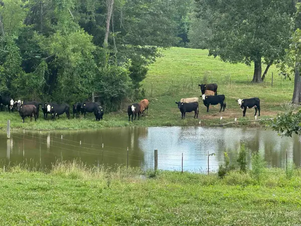 100 Acres Wynn Road, Dierks, AR 71833