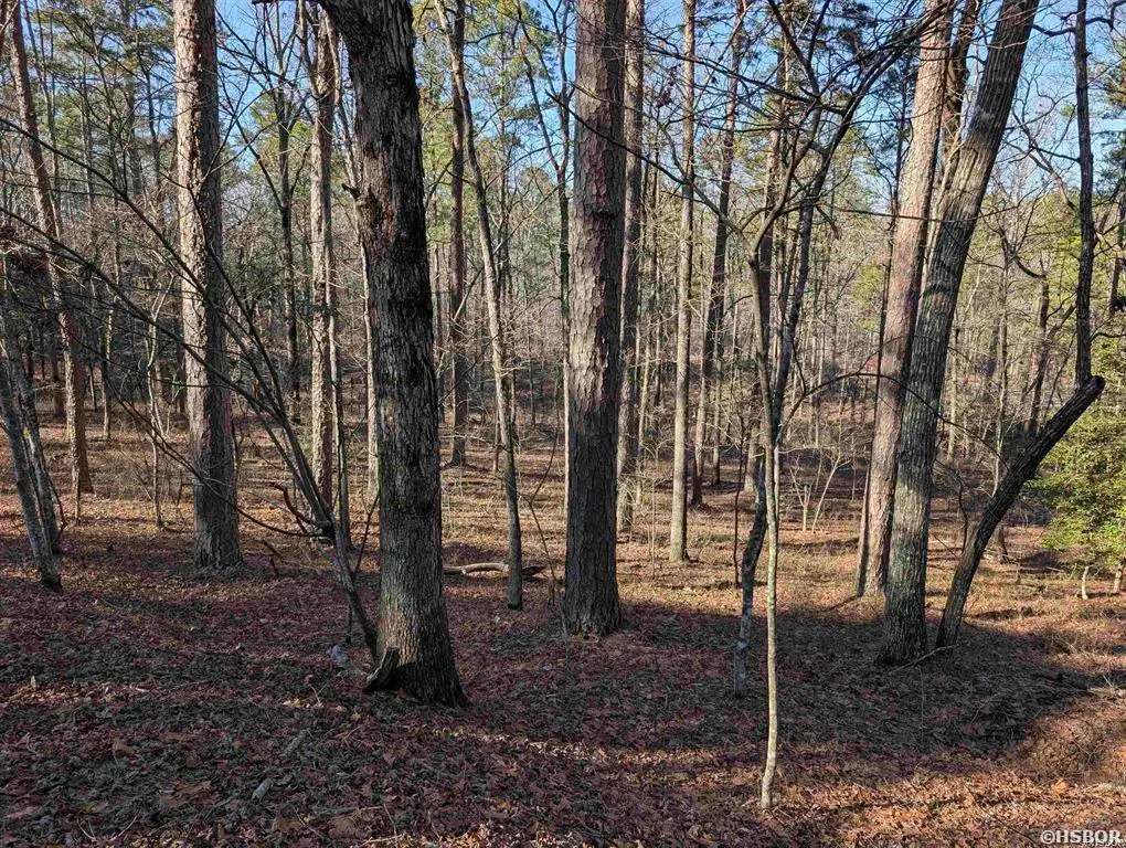 30 Montijo Way, Hot Springs Village, AR 71909 - #1
