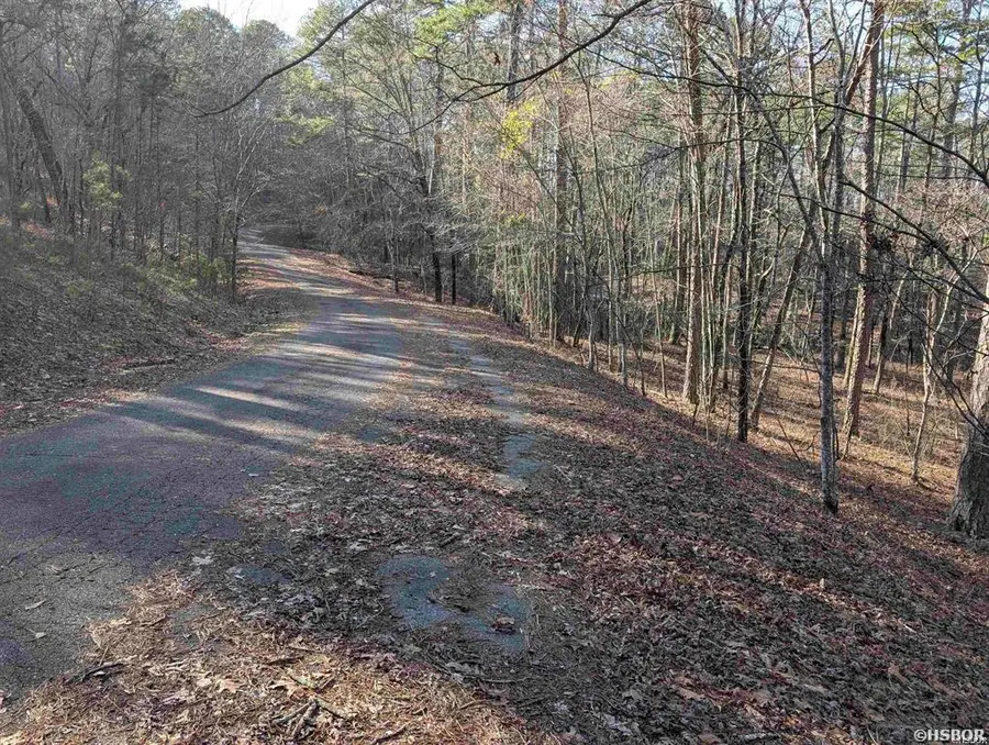 30 Montijo Way, Hot Springs Village, AR 71909 - #2
